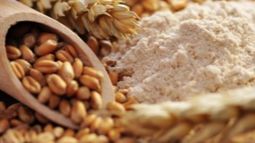 Fuerte repunte en los valores del trigo orgánico para exportación