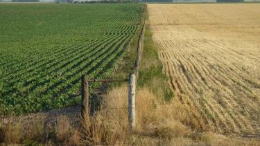 Resaltan que el tipo de cambio para exportación afecta a las economías regionales