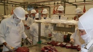 La producción de carne bovina creció 6,9% interanual en el primer trimestre