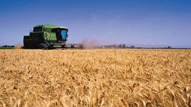 La próxima cosecha de trigo sería de 9,4 millones de toneladas