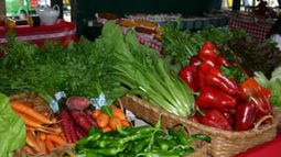 Es tendencia mundial la recuperación de los alimentos tradicionales