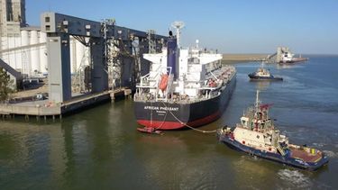 Más de 1.200.000 toneladas de granos pasaron por Bahía Blanca