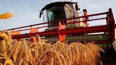 La UE redujo a cero sus aranceles para importar maíz