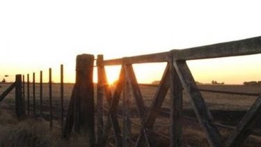 El revalúo inmobiliario costará $4 mil millones a los productores bonaerenses