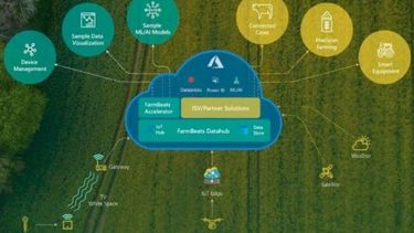 La iniciativa de Microsoft que puede revolucionar la producción agropecuaria