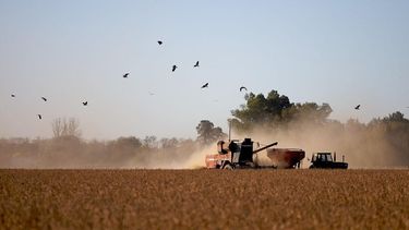 La performance de las economías regionales en un contexto de crisis económica.&nbsp;