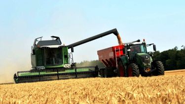 Buen ritmo para la cosecha de trigo durante la semana