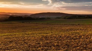 El mercado inmobiliario rural cierra el año con un leve repunte