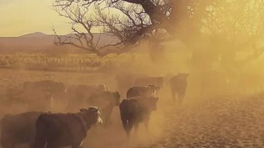 Emergencia agropecuaria en Córdoba y Neuquén