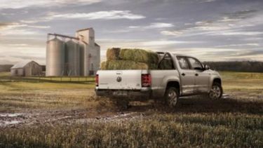 Enero también entregó buenos números en las ventas de camionetas agropecuarias