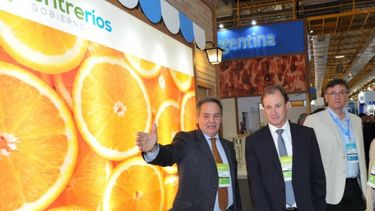 Naranjas y mandarinas argentinas podrán comercializarse en Brasil