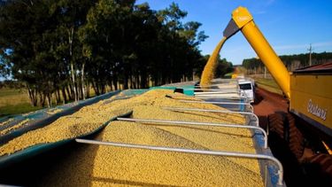 La actualización de los salarios correspondientes a los cerealeros.