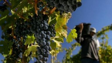 PYMES festejaron la baja de retenciones en las economías regionales