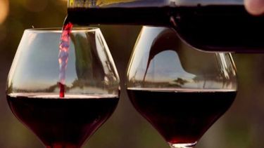 El consumo de vino se redujo más de 13% en el primer cuatrimestre