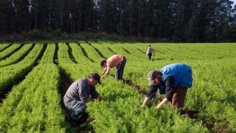 Basterra destacó la importancia de la agricultura familiar en Argentina