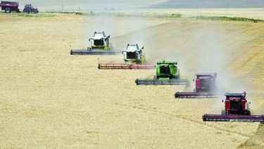 El agro promete ser el motor del repunte económico nacional