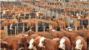 La faena creció más de un 3 por ciento en febrero