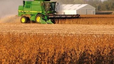 USDA no avizora cambios en las retenciones a la soja