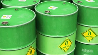 Establecieron el precio por tonelada del biodiesel