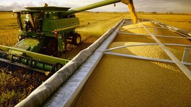 Esperan que la cosecha de soja suba a más de 53 millones de toneladas