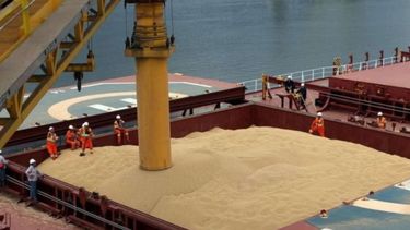 La molienda de soja alcanzó su nivel más alto en cinco años