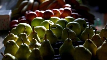 La producción de manzanas y peras llegaría a 1,18 millones de toneladas