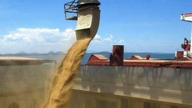 El campo lidera ampliamente las exportaciones argentinas durante 2016