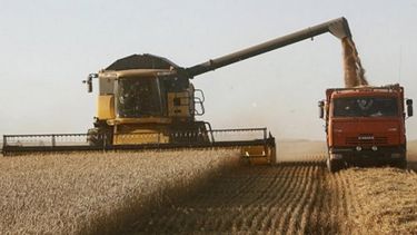 Mantienen la estimación sobre la cosecha de soja para la actual campaña