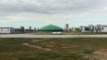 Granja porcina de Córdoba ahorra 70% de energía con la producción de biogás