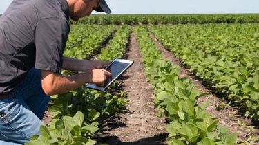 Cooperativas y asociaciones agroalimentarias le sacan provecho a la tecnología