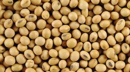 La soja cerró la semana corta a $28.275 en Rosario