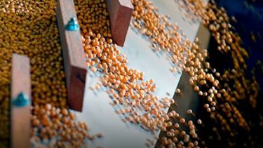 Se registró un récord en operaciones financieras de granos