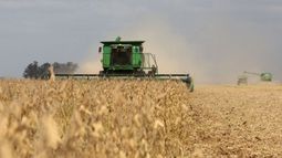 Prometen una rápida definición de las compensaciones a PYMES sojeras