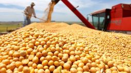 La soja retrocedió pero avanzaron el trigo y el maíz en Chicago