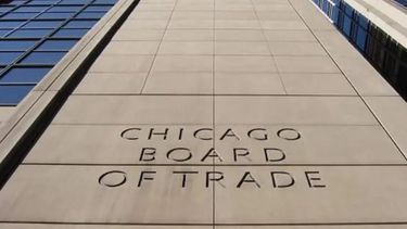 Maíz y soja bajaron en Chicago