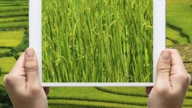 Agtech para el agro: los negocios que marcan tendencia en 2018