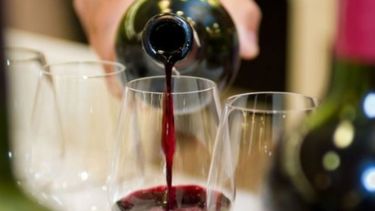 En marcha la ley del vino en "La Provincia"