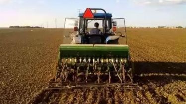 Creció un 4% el área destinada al trigo en la zona pampeana