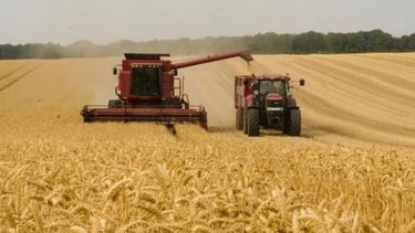 El campo rechaza el fideicomiso del Gobierno para trigo y maíz