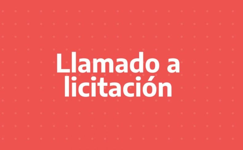 Licitan siete bonos para financiar al Estado