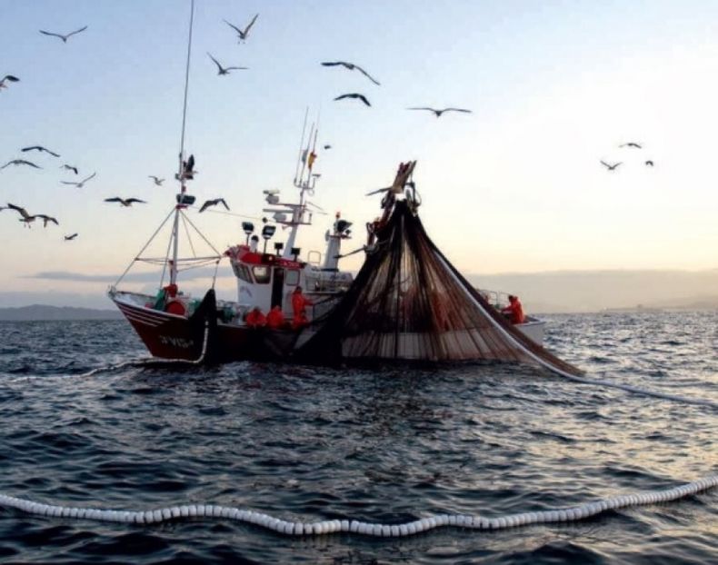 Buscan mejorar el tránsito de productos provenientes de la pesca y acuicultura