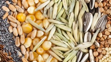 Productores presentaron en el Congreso proyecto sobre regulación de las semillas