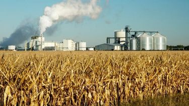 Diputados dio media sanción al proyecto que crea un nuevo régimen de Biocombustibles