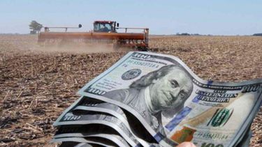 Con las divisas de la agroindustria se habría pagado más de dos veces la deuda externa