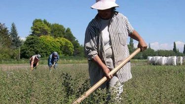 Extienden beneficios ruralistas que firmaron convenios de corresponsabilidad