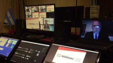 Empezó a operar el primer mercado digital de cerdos