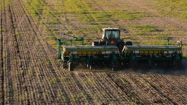 La presión tributaria sobre la siembra de trigo.