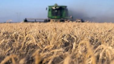 El campo no quiere más impuestos a las exportaciones del sector.