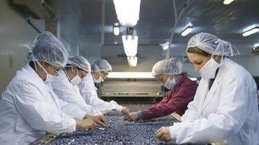 Entregan financiamiento por US$ 50 millones a MiPYMES agroalimentarias