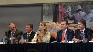 El Gobierno confirmó que "es inminente" un acuerdo con Brasil por los autos